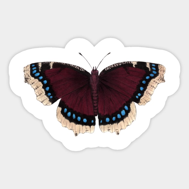 Mourning Cloak Sticker by JadaFitch